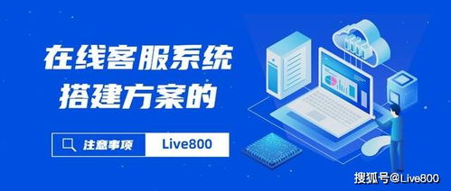 企业在线客服系统搭建方案与证照代办服务选择指南